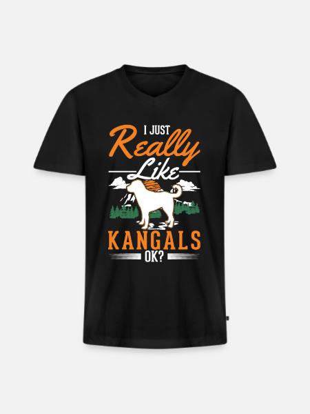 Kangal Hund Geschenk - Männer Premium Bio T-Shirt mit V-Ausschnitt - Schwarz
