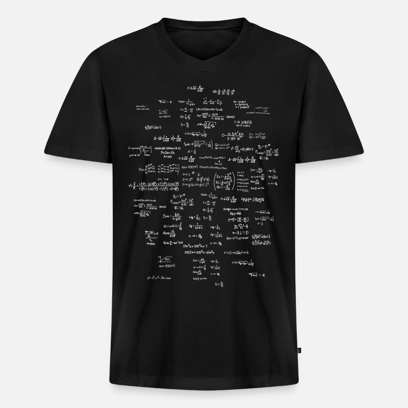 Mathe Formelsammlung - Männer Premium Bio T-Shirt mit V-Ausschnitt - Schwarz