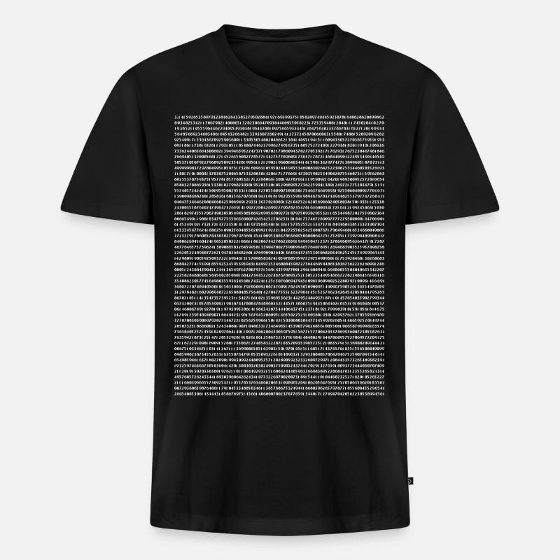 Physiker Pi 3.14 - Männer Premium Bio T-Shirt mit V-Ausschnitt - Schwarz