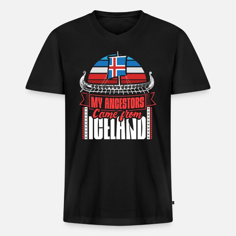 Island Staat - Männer Premium Bio T-Shirt mit V-Ausschnitt - Schwarz
