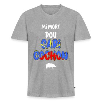 Réunion Island Flag Kreolische Küche Curry Schwein - Männer Premium Bio T-Shirt mit V-Ausschnitt - Grau meliert - Vorne