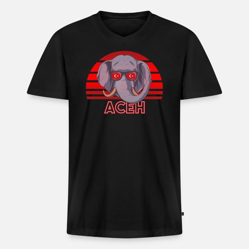 Aceh - Männer Premium Bio T-Shirt mit V-Ausschnitt - Schwarz