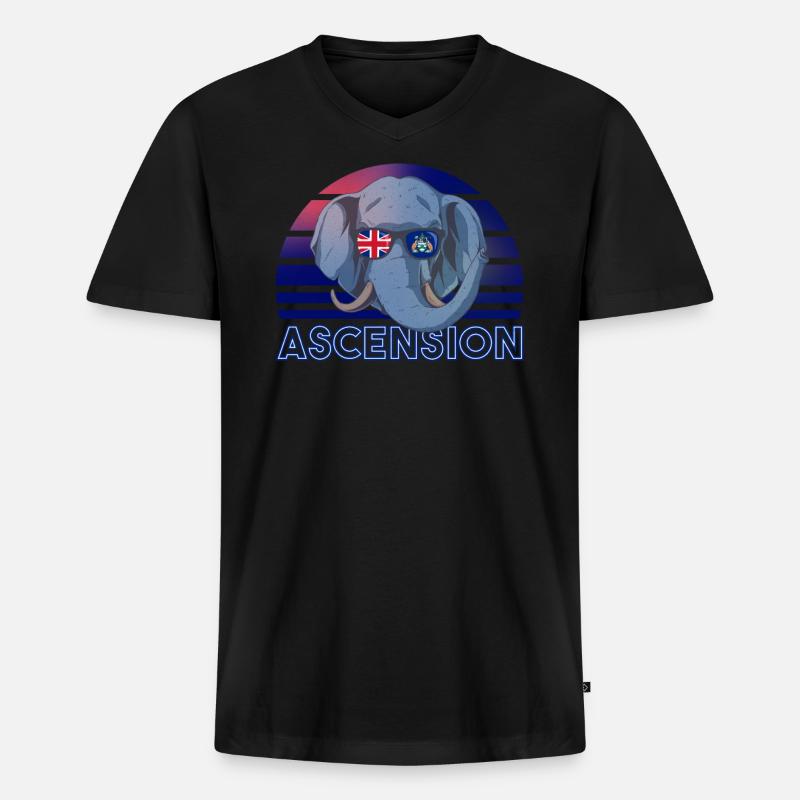 Ascension - Männer Premium Bio T-Shirt mit V-Ausschnitt - Schwarz