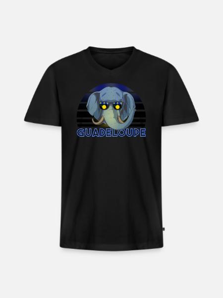 Guadeloupe - Men's Premium Organic T-shirt with V-neck - black