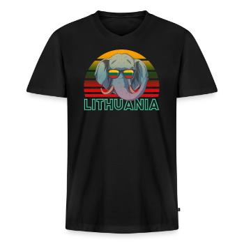 Lithuania - Men's Premium Organic T-shirt with V-neck - black - Front - Nico (187cm)