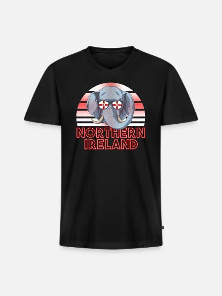 Northern Ireland - Men's Premium Organic T-shirt with V-neck - black