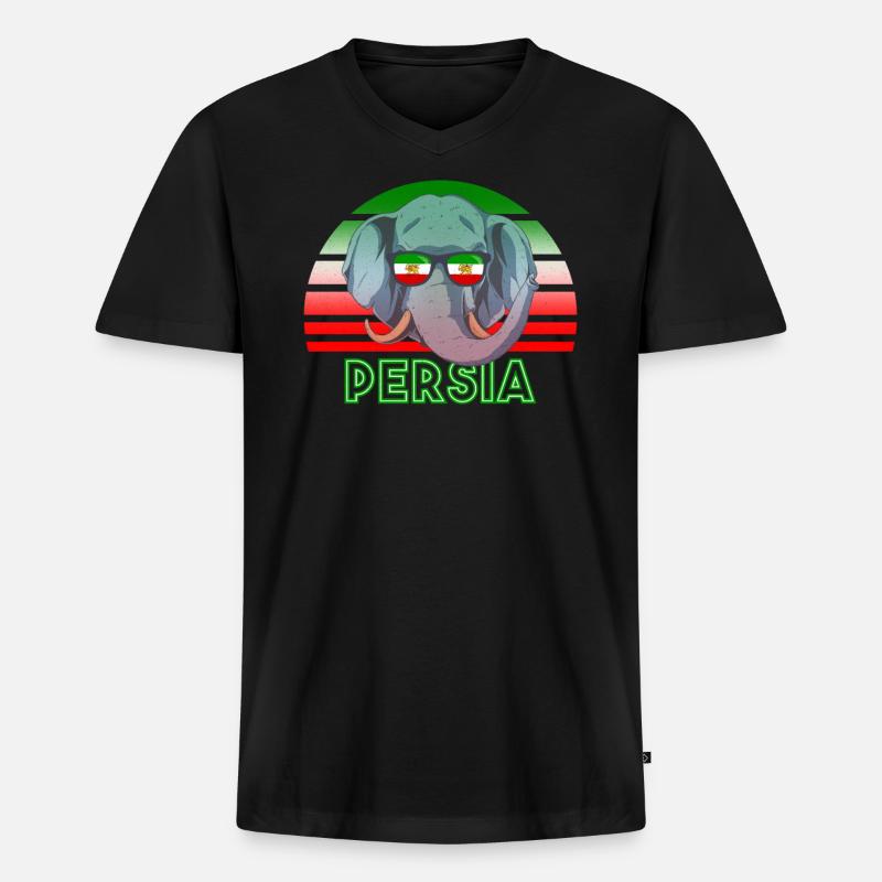 Persien - Männer Premium Bio T-Shirt mit V-Ausschnitt - Schwarz