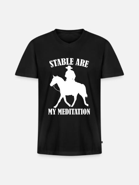 Stable sont ma méditation - - T-shirt encolure en V Premium bio Homme - noir