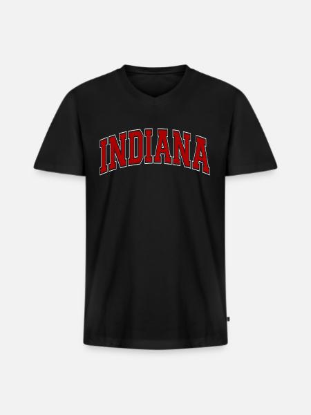 Indiana - Men's Premium Organic T-shirt with V-neck - black