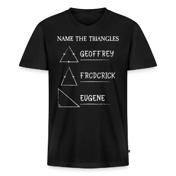 Math Jokes Mathmatician Teacher Math Mathematics - Männer Premium Bio T-Shirt mit V-Ausschnitt - Schwarz - Vorne - Nico (187cm)