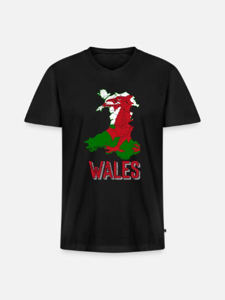 Wales - Männer Premium Bio T-Shirt mit V-Ausschnitt - Schwarz