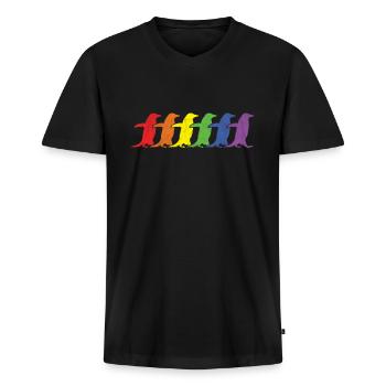 LGBTQ Lesben Homosexuell Bisexuell Transgender Geschlecht - Männer Premium Bio T-Shirt mit V-Ausschnitt - Schwarz - Vorne - Nico (187cm)