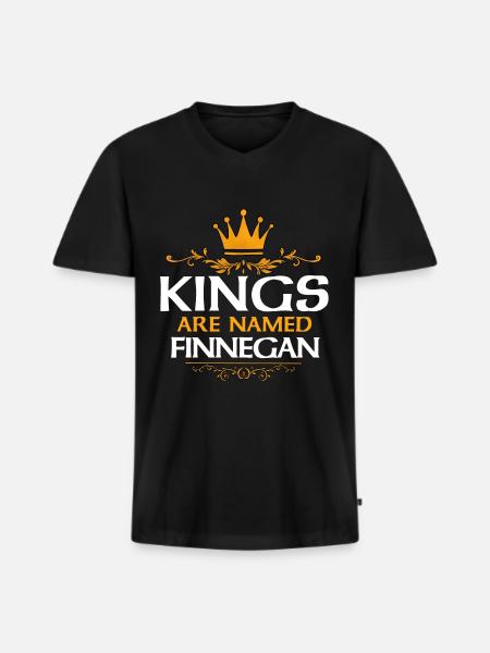 Finnegan - Men's Premium Organic T-shirt with V-neck - black