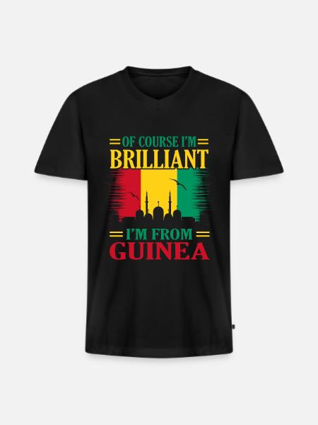 Guinea - Männer Premium Bio T-Shirt mit V-Ausschnitt - Schwarz