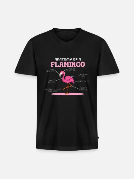 Anaotomy Of A Flamingo - Männer Premium Bio T-Shirt mit V-Ausschnitt - Schwarz