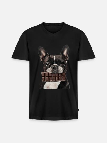 Boston Terrier - Männer Premium Bio T-Shirt mit V-Ausschnitt - Schwarz