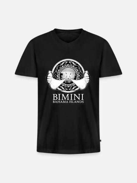 Manta rays Bimini Bahamas - Men's Premium Organic T-shirt with V-neck - black