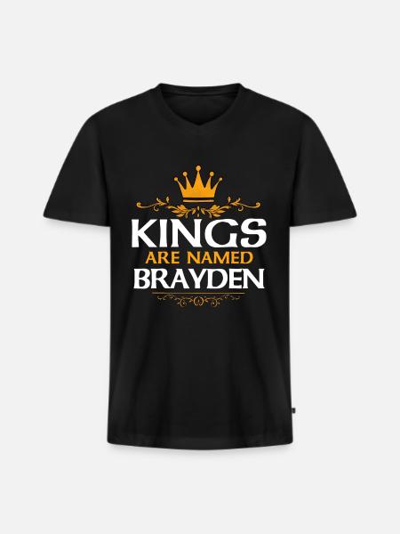 Brayden - Men's Premium Organic T-shirt with V-neck - black