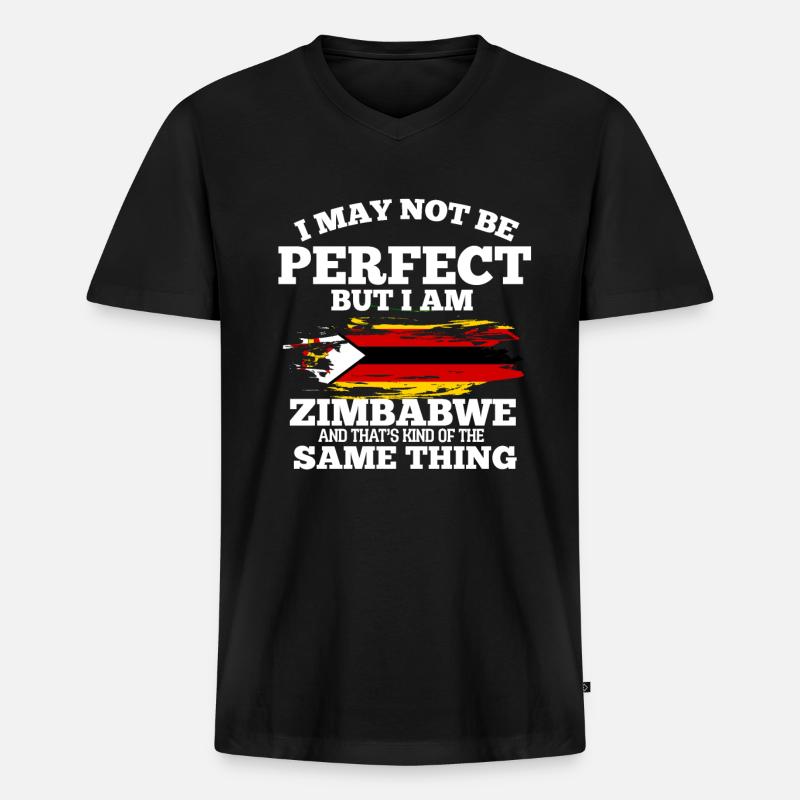 Simbabwe - Männer Premium Bio T-Shirt mit V-Ausschnitt - Schwarz