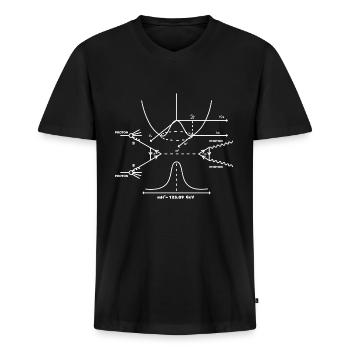 Physik Photon - Männer Premium Bio T-Shirt mit V-Ausschnitt - Schwarz - Vorne - Nico (187cm)