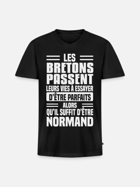 Norman humour against Breton - Men's Premium Organic T-shirt with V-neck - black