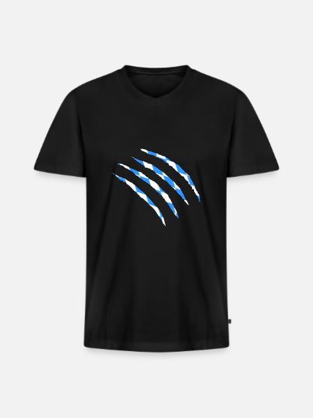 Bayern - Männer Premium Bio T-Shirt mit V-Ausschnitt - Schwarz