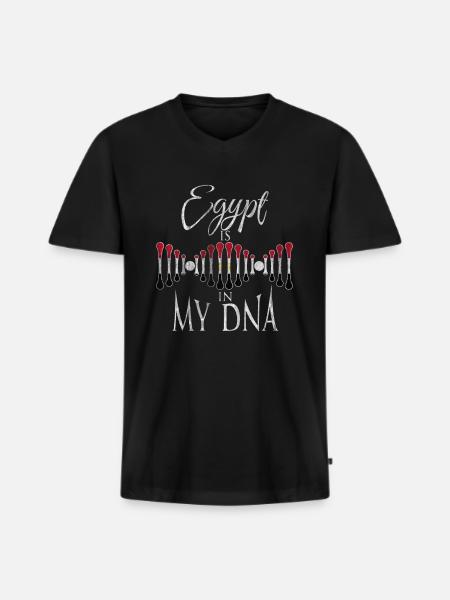 Egypt home - Men's Premium Organic T-shirt with V-neck - black