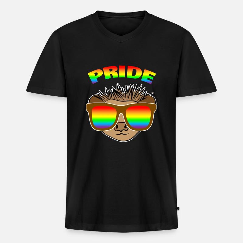 Igel Regenbogen - Männer Premium Bio T-Shirt mit V-Ausschnitt - Schwarz