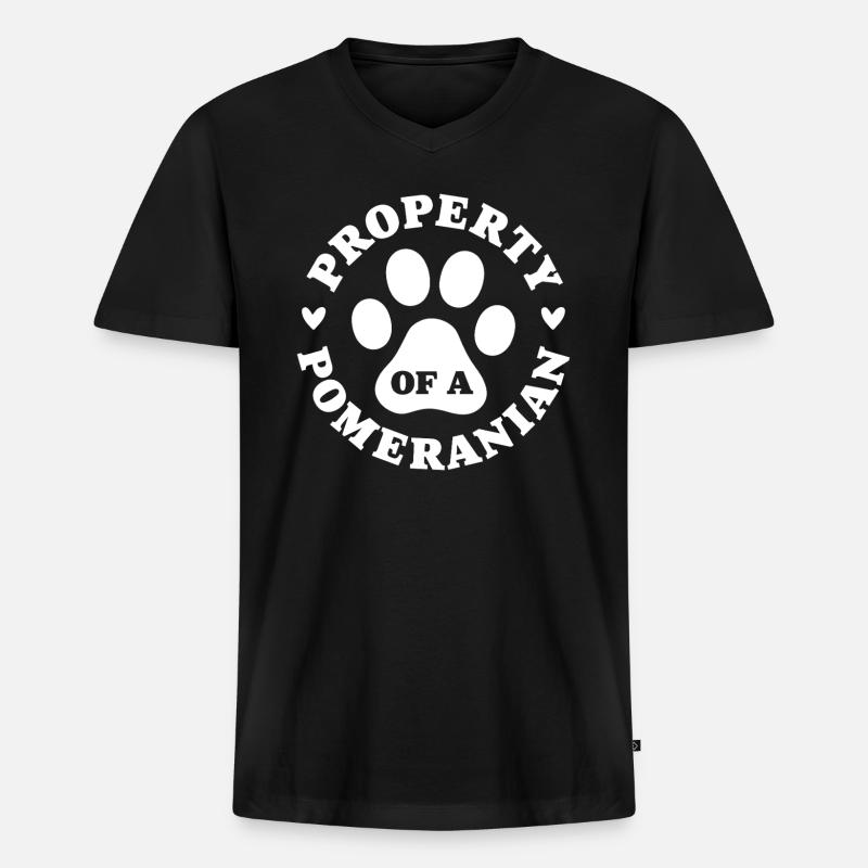 Eigentum eines Zwergspitzs - Männer Premium Bio T-Shirt mit V-Ausschnitt - Schwarz