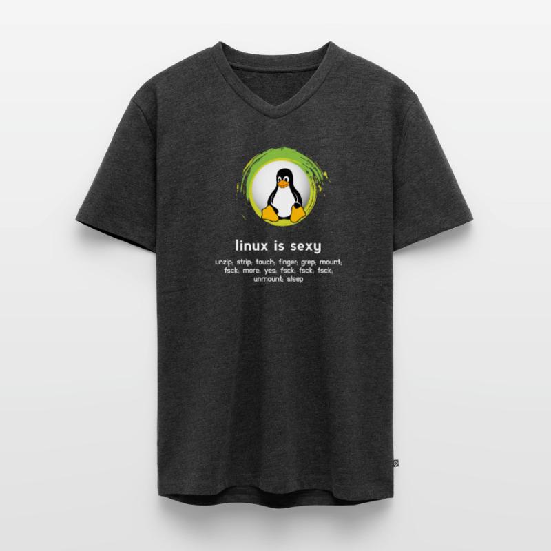 Computer System Pinguin Nerd pc inside code admin Männer Premium Bio T-Shirt mit V-Ausschnitt