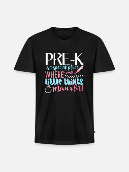 Pre k Teacher Pre k Is A Special Place - Men's Premium Organic T-shirt with V-neck - black