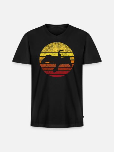 Kormoran im Sonnenuntergang - Männer Premium Bio T-Shirt mit V-Ausschnitt - Schwarz