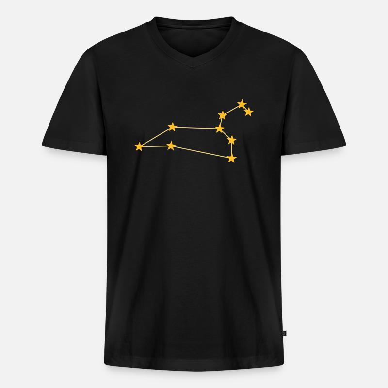 Sternbild Löwe - Männer Premium Bio T-Shirt mit V-Ausschnitt - Schwarz