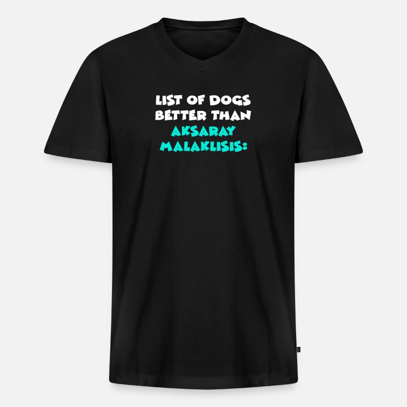 Aksaray Malaklisis - Männer Premium Bio T-Shirt mit V-Ausschnitt - Schwarz
