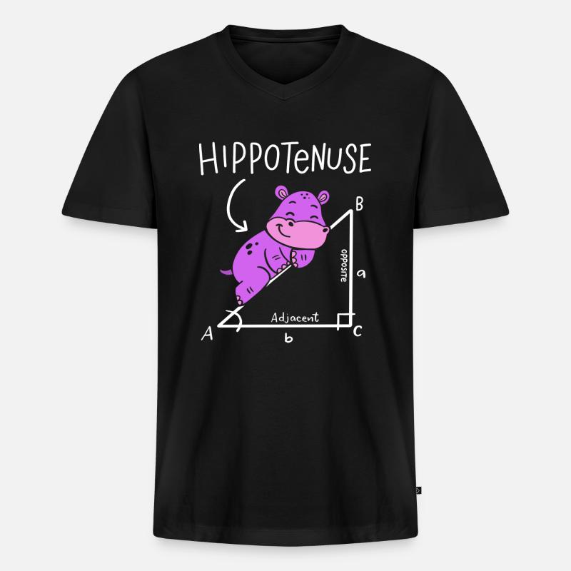 Hippotenuse Hypotenuse Triangle Geometry Math - Men's Premium Organic T-shirt with V-neck - black