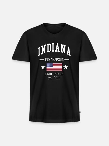 Indiana - Men's Premium Organic T-shirt with V-neck - black