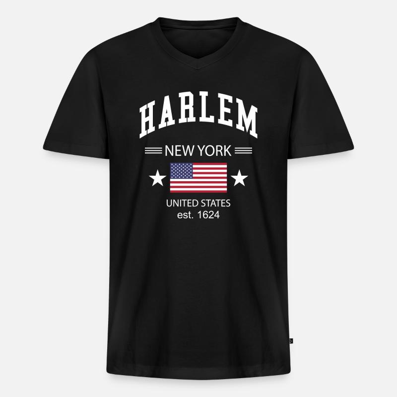 Harlem - Männer Premium Bio T-Shirt mit V-Ausschnitt - Schwarz