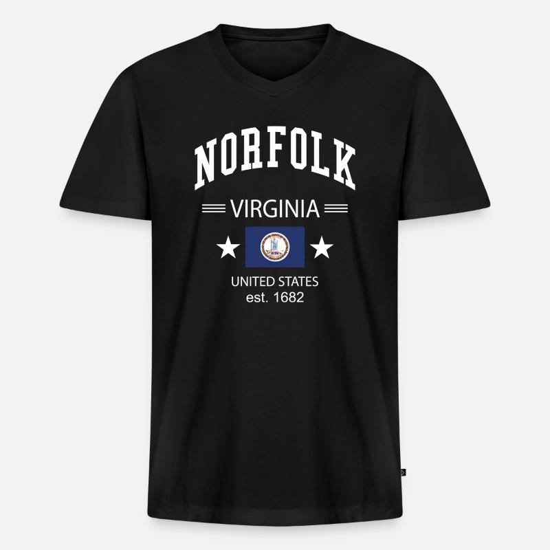 Norfolk - Männer Premium Bio T-Shirt mit V-Ausschnitt - Schwarz