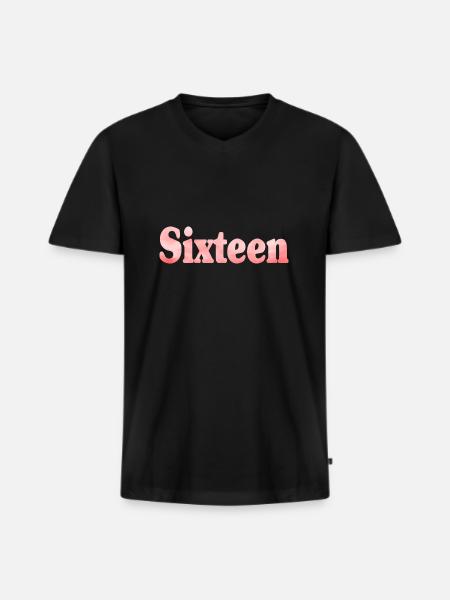 16e anniversaire seize cadeau - T-shirt encolure en V Premium bio Homme - noir