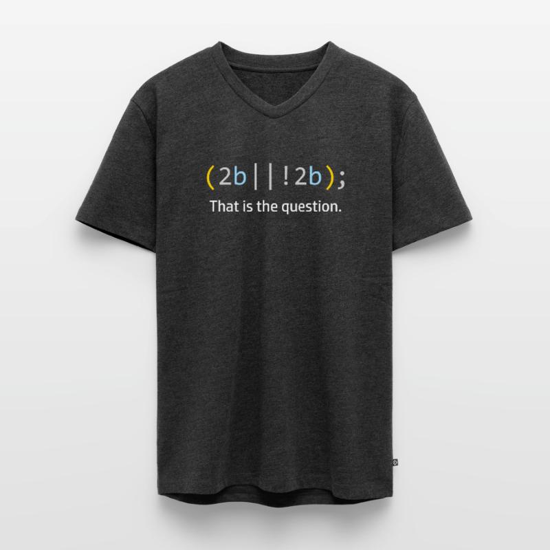 Informatiker Computer Science Code Programmierer Männer Premium Bio T-Shirt mit V-Ausschnitt