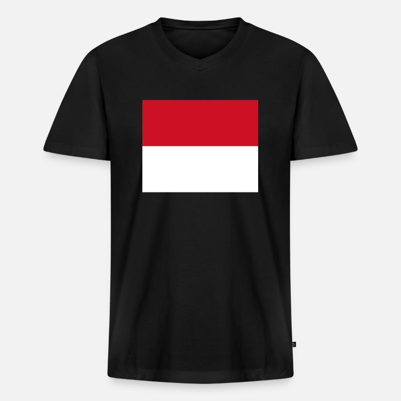 Monaco - Männer Premium Bio T-Shirt mit V-Ausschnitt - Schwarz