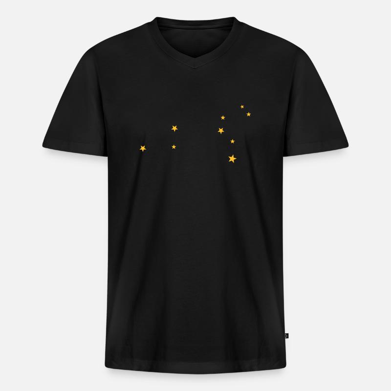 Löwe Sternbild - Männer Premium Bio T-Shirt mit V-Ausschnitt - Schwarz