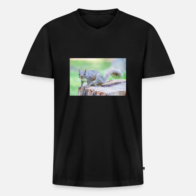 Grauhörnchen Sciurus carolinensis - Männer Premium Bio T-Shirt mit V-Ausschnitt - Schwarz
