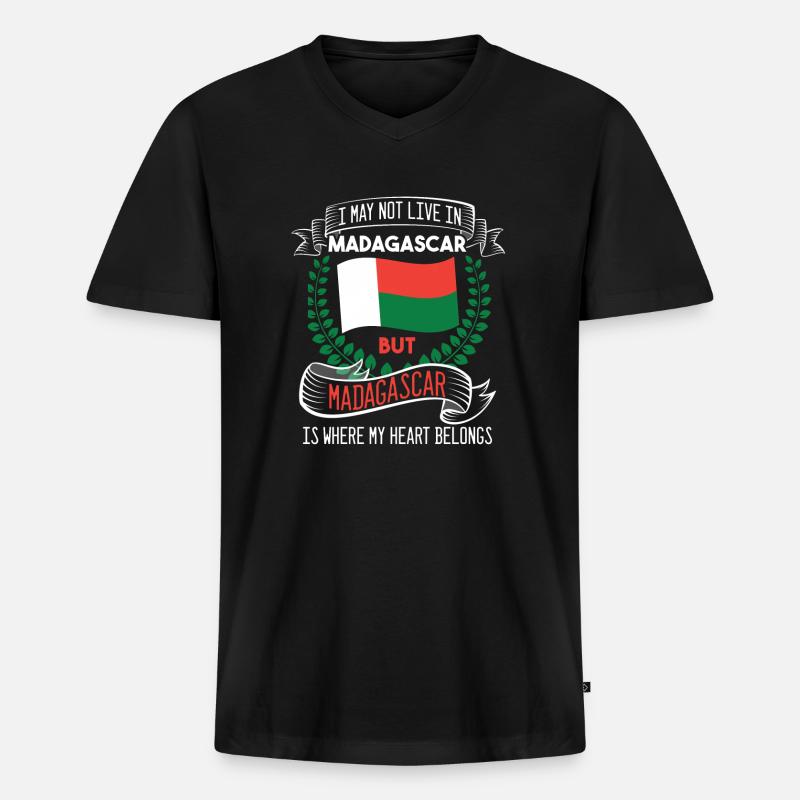 Madagaskar - Männer Premium Bio T-Shirt mit V-Ausschnitt - Schwarz