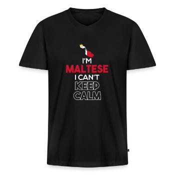 Malta - Men's Premium Organic T-shirt with V-neck - black - Front - Nico (187cm)