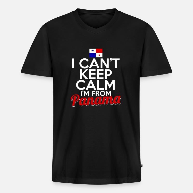 Panama - Männer Premium Bio T-Shirt mit V-Ausschnitt - Schwarz