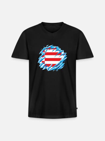 Bremen Flag Bremen Flag - Men's Premium Organic T-shirt with V-neck - black