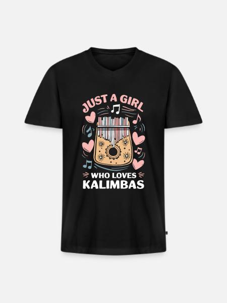 Idiophon Kalimba Geschenk - Männer Premium Bio T-Shirt mit V-Ausschnitt - Schwarz