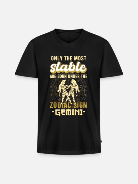 Sternzeichen Zwillinge Astrologie Geschenk - Männer Premium Bio T-Shirt mit V-Ausschnitt - Schwarz