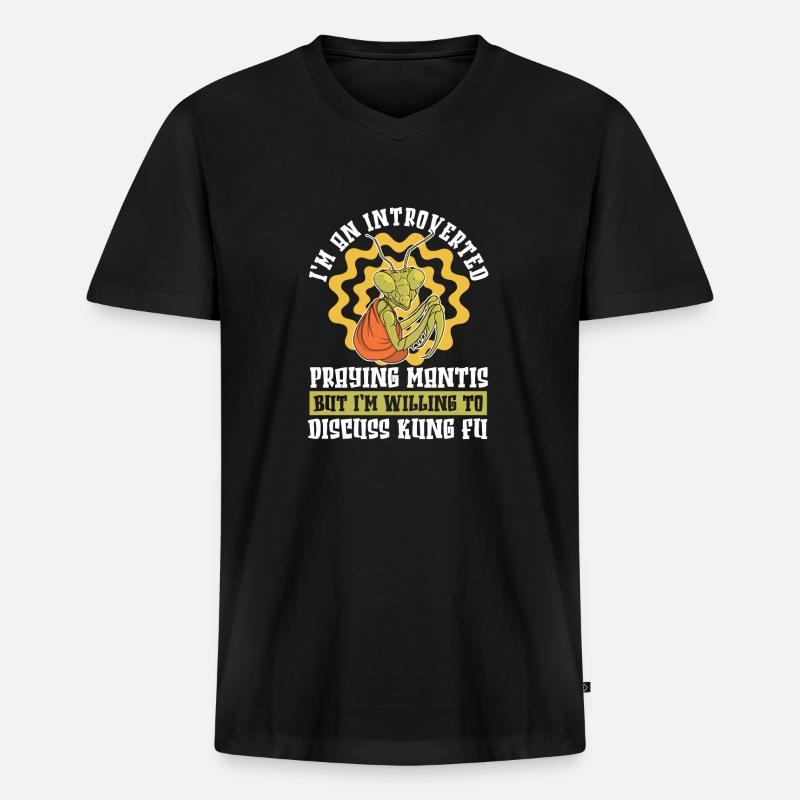 Kung Fu - Männer Premium Bio T-Shirt mit V-Ausschnitt - Schwarz